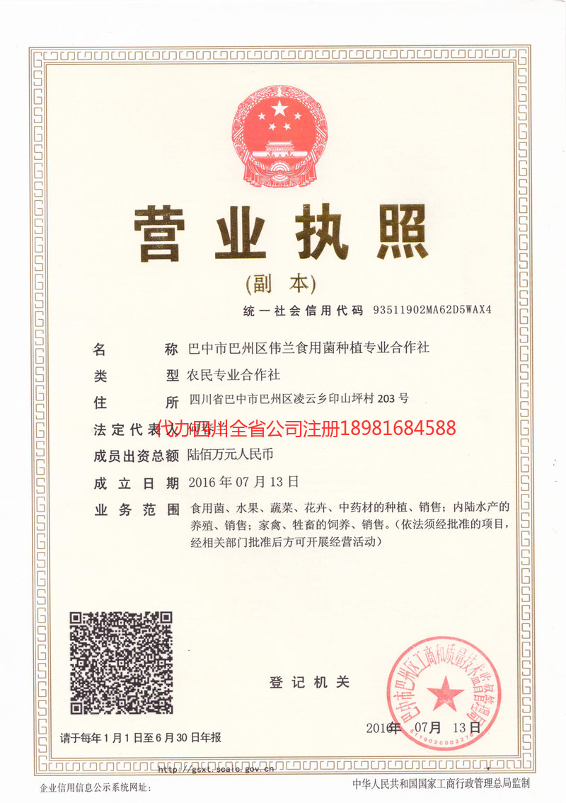 南阳南阳伟兰食用菌种植专业合作社